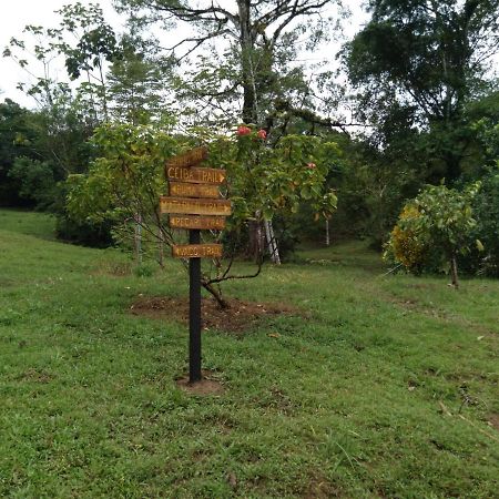 Finca Sueno De Osa Puerto Jiménez Zewnętrze zdjęcie