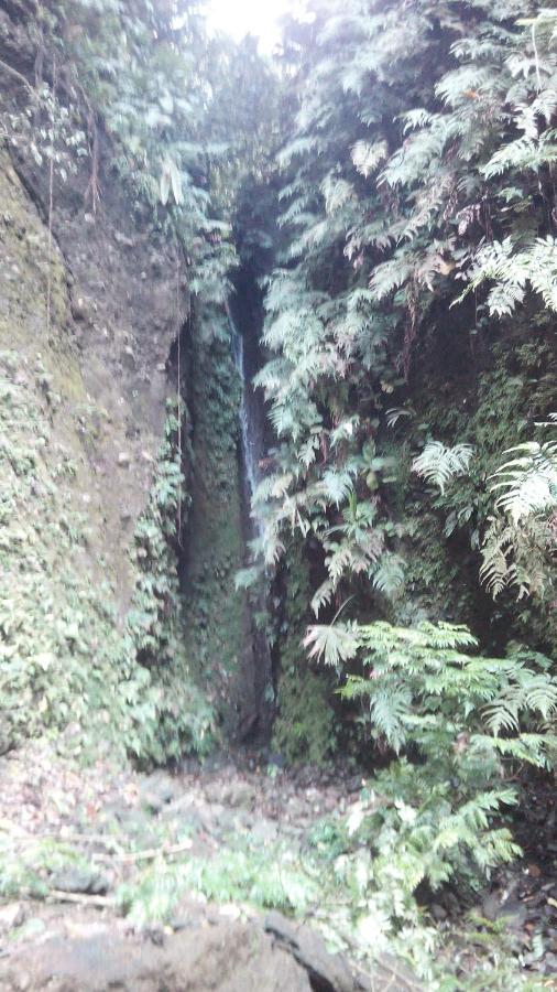 Finca Sueno De Osa Puerto Jiménez Zewnętrze zdjęcie