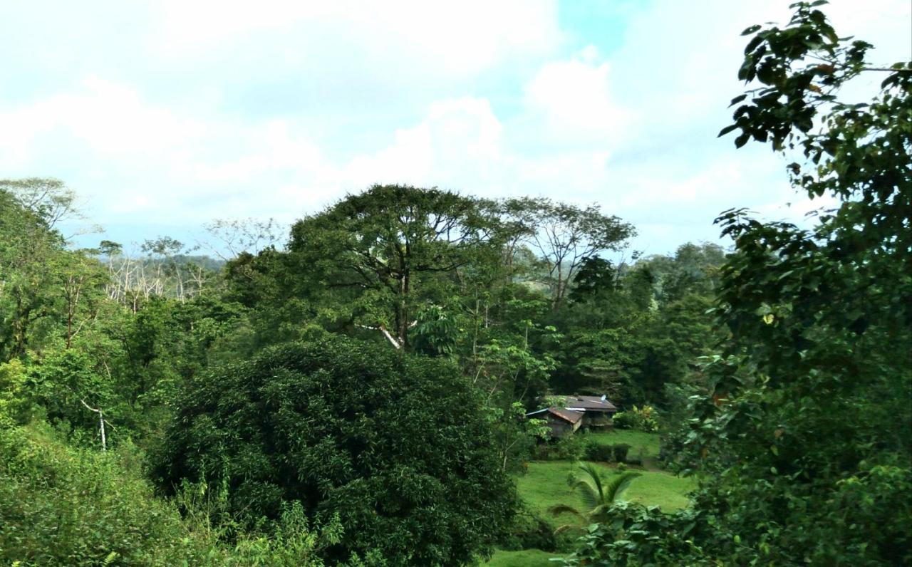 Finca Sueno De Osa Puerto Jiménez Zewnętrze zdjęcie