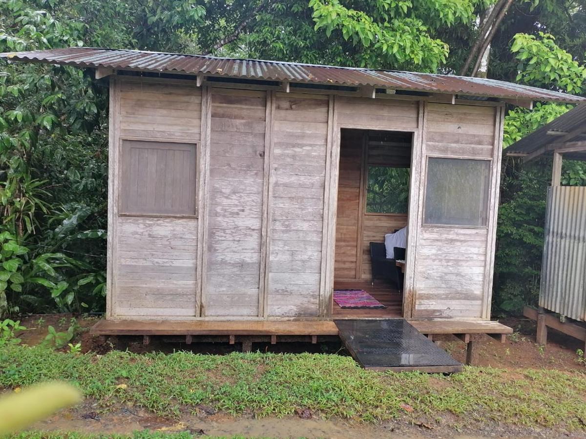 Finca Sueno De Osa Puerto Jiménez Zewnętrze zdjęcie