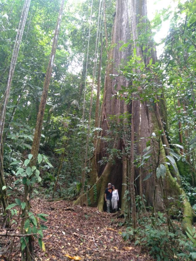 Finca Sueno De Osa Puerto Jiménez Zewnętrze zdjęcie