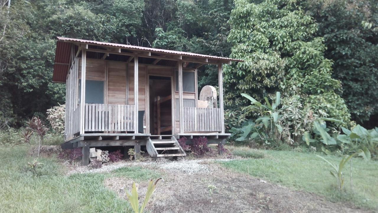Finca Sueno De Osa Puerto Jiménez Zewnętrze zdjęcie